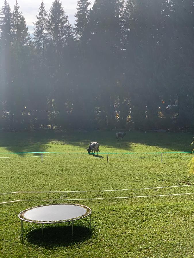 Birkenhof Leilighet Leutasch Eksteriør bilde